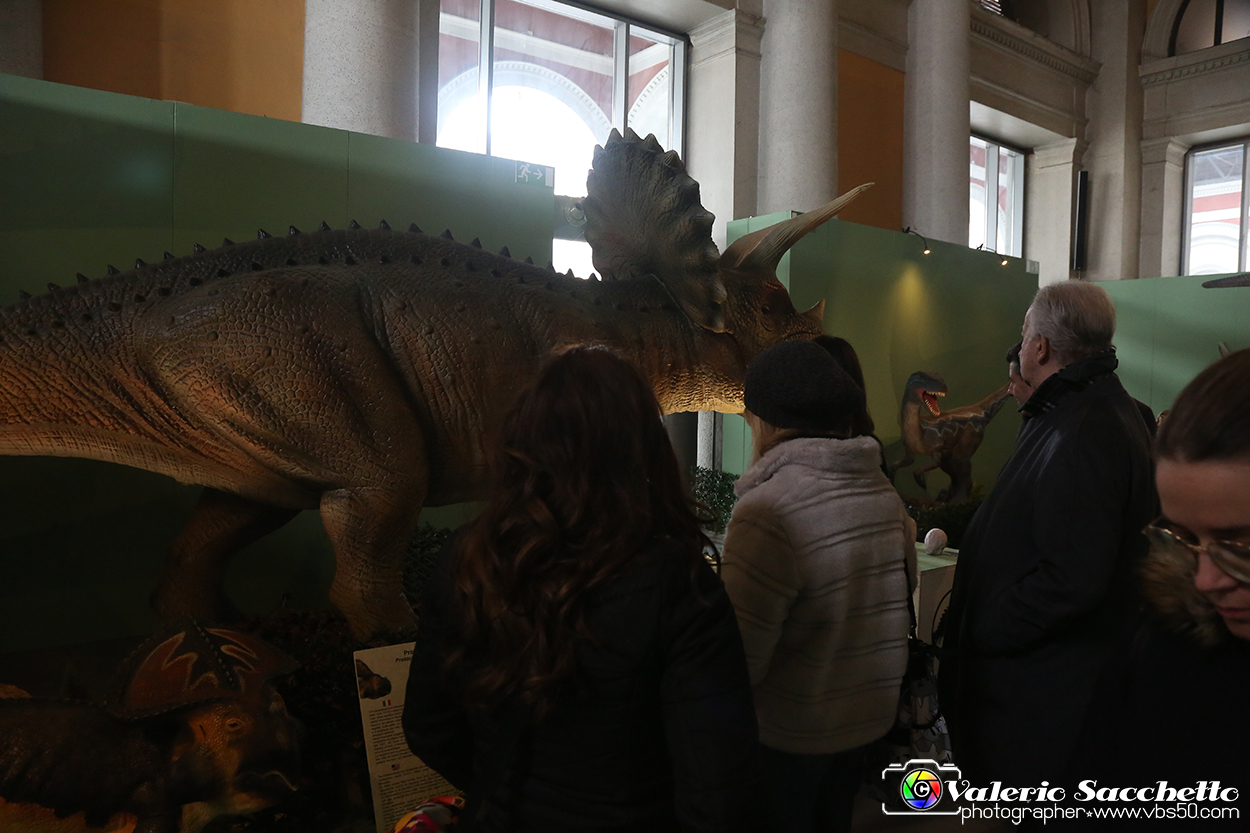 VBS_1015 - Dinosauri. Terra dei giganti.jpg